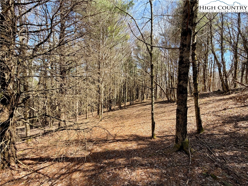 Tbd Grandview Drive Property Photo 37