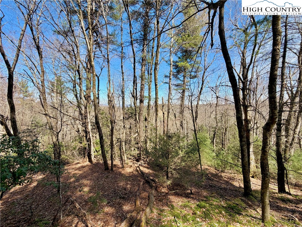 Tbd Grandview Drive Property Photo 38