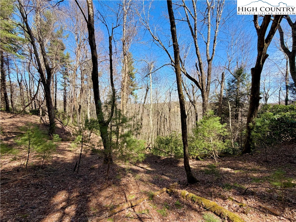 Tbd Grandview Drive Property Photo 39