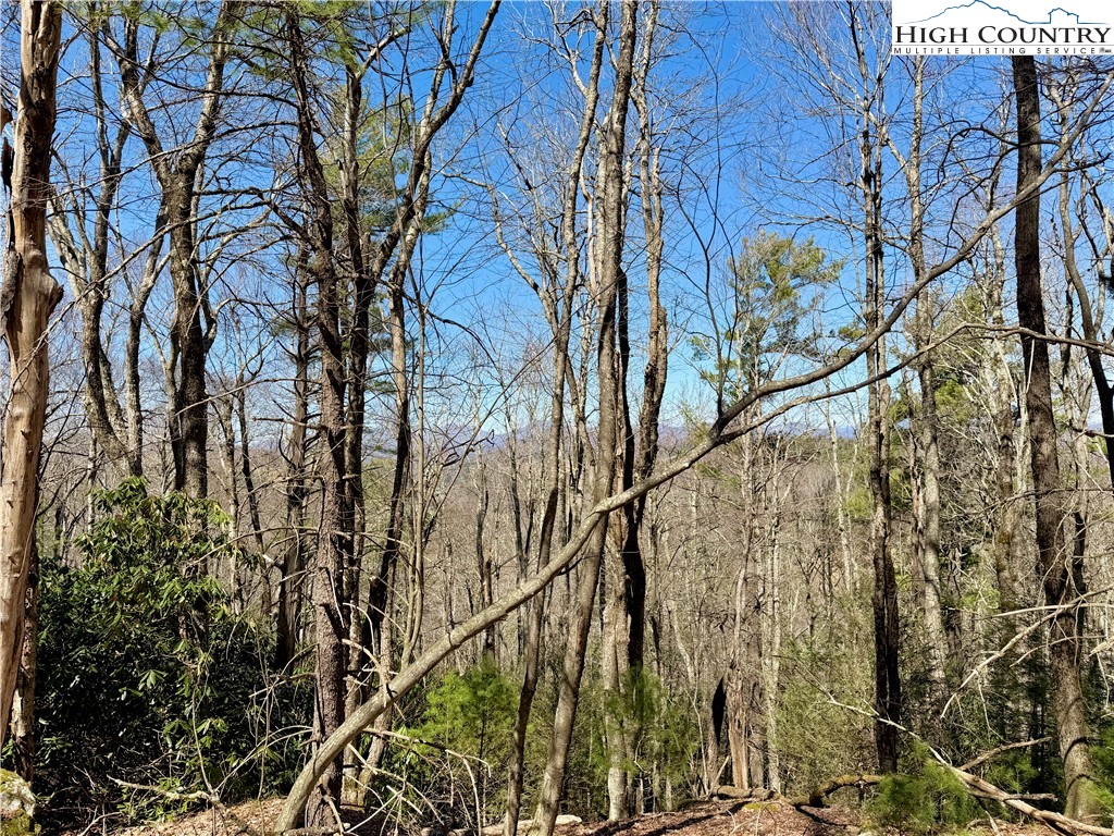 Tbd Grandview Drive Property Photo 41