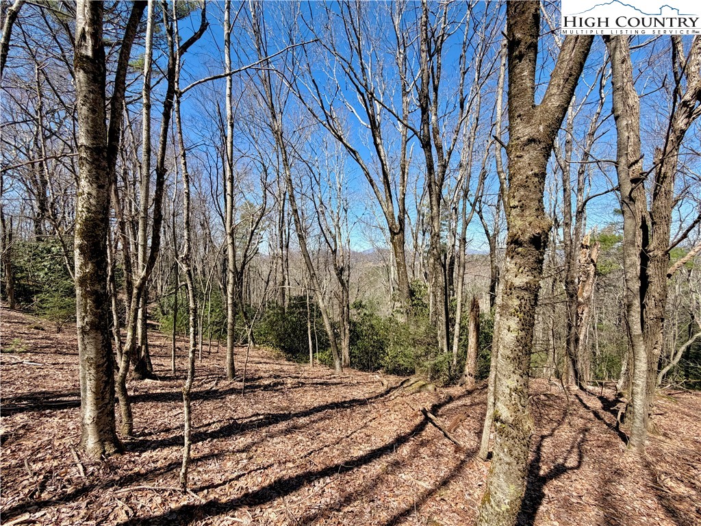 Tbd Grandview Drive Property Photo 42