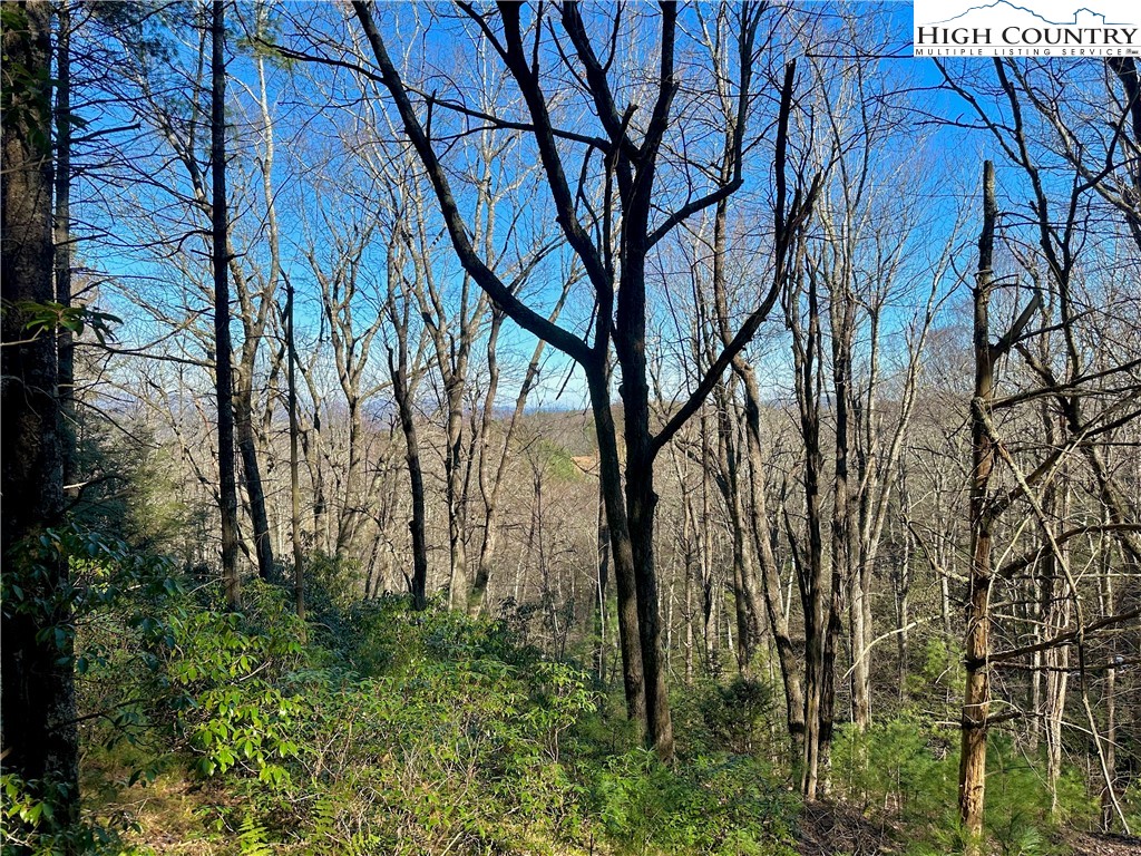 Tbd Grandview Drive Property Photo 43