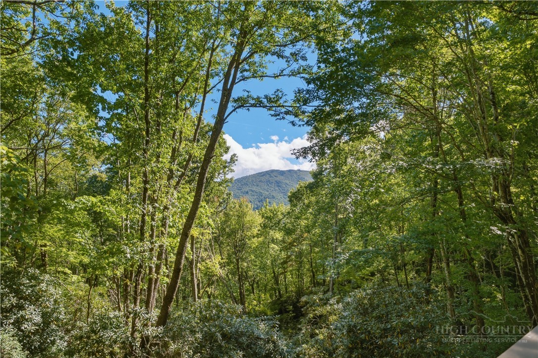 212 Chinkapin Ridge Property Photo 25