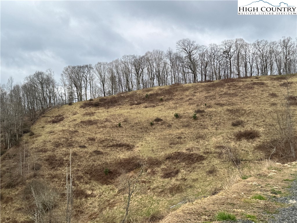 Tbd Bear Wallow Road Property Photo 7