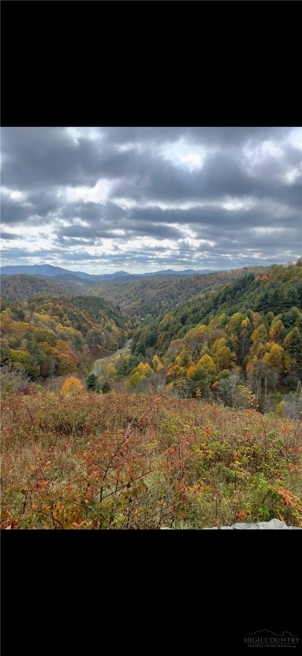 Tbd Bear Wallow Road Property Photo 17