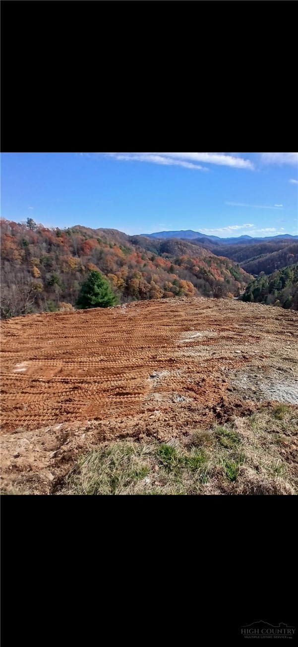 Tbd Bear Wallow Road Property Photo 18