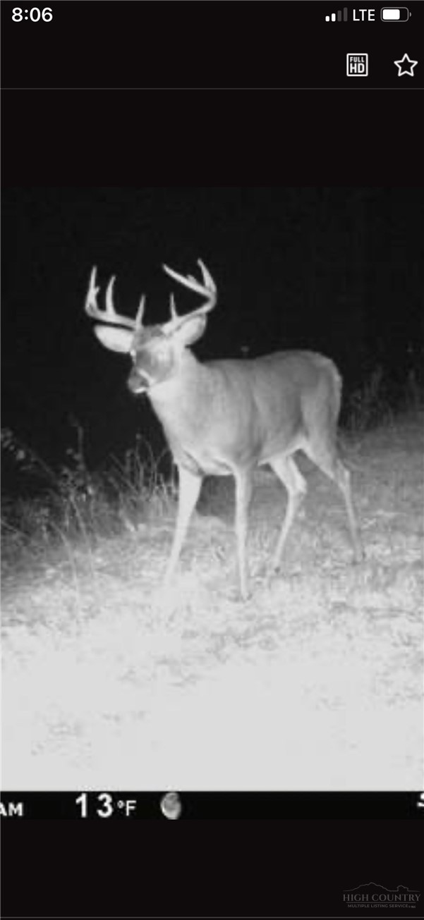 Tbd Bear Wallow Road Property Photo 20