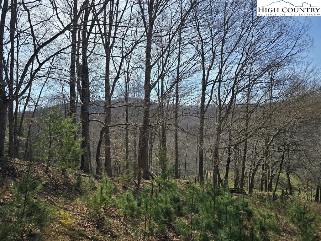 3160 Roundabout Road Property Photo 44