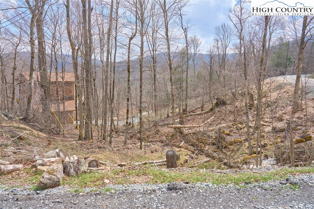 101 Foxgrape Hollow Road Property Photo 1