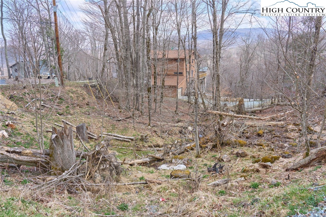 101 Foxgrape Hollow Road Property Photo 2