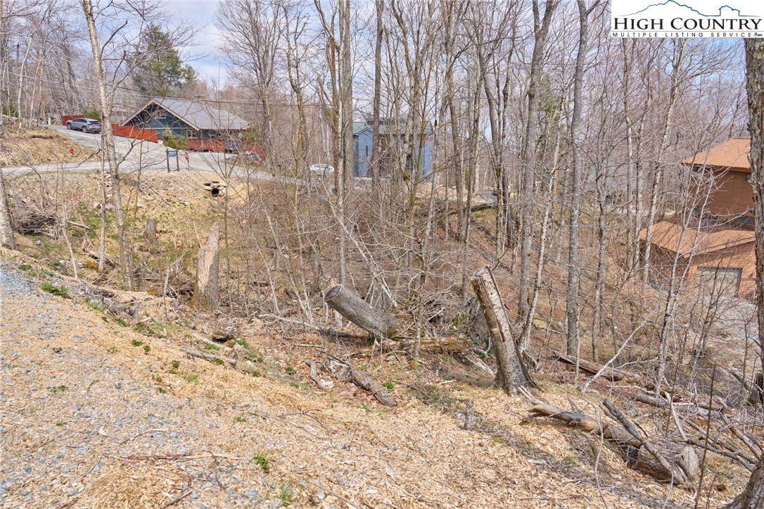 101 Foxgrape Hollow Road Property Photo 3