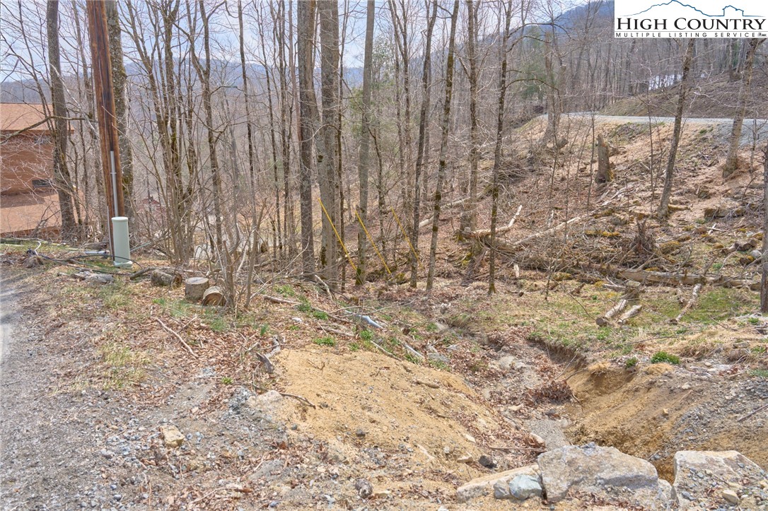 101 Foxgrape Hollow Road Property Photo 4