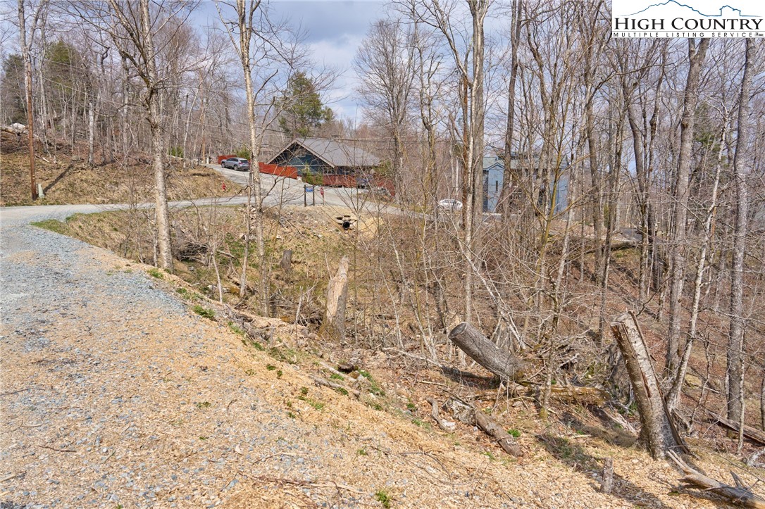 101 Foxgrape Hollow Road Property Photo 5