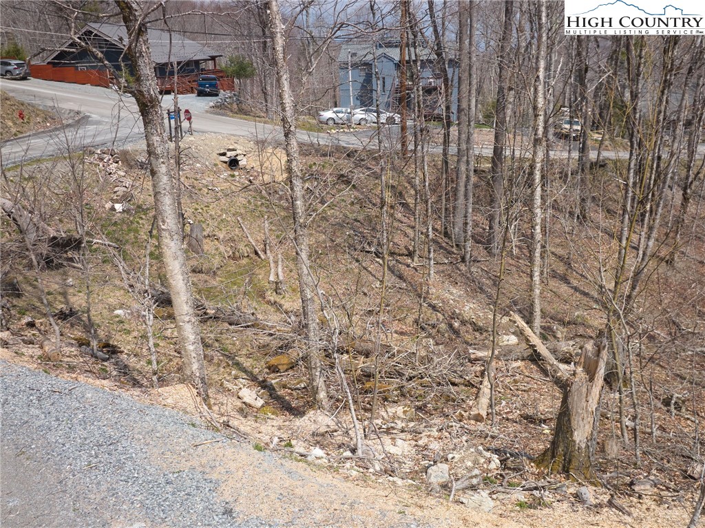 101 Foxgrape Hollow Road Property Photo 12
