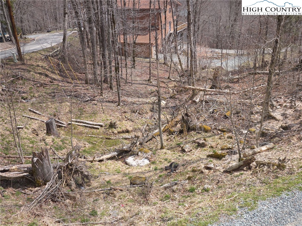 101 Foxgrape Hollow Road Property Photo 13