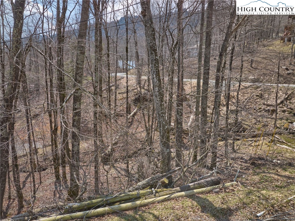 101 Foxgrape Hollow Road Property Photo 16