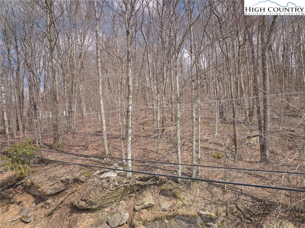 217 Overbrook Trail Property Photo 1