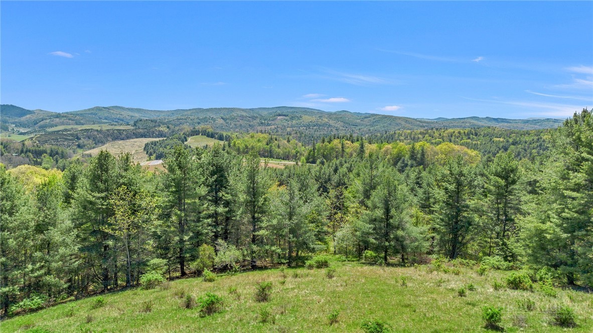 1607 & 1567 Will Vannoy Road Property Photo 1