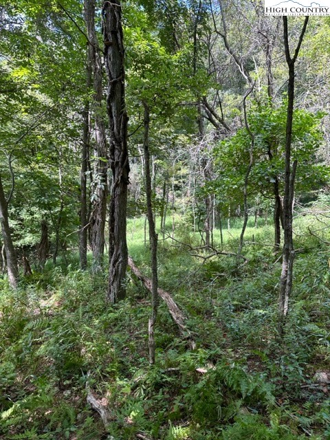Tbd Black Rock Mountain Rd. Property Photo 2
