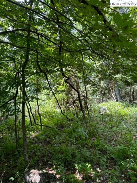 Tbd Black Rock Mountain Rd. Property Photo 3