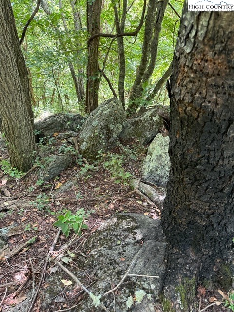 Tbd Black Rock Mountain Rd. Property Photo 4