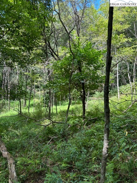 Tbd Black Rock Mountain Rd. Property Photo 5