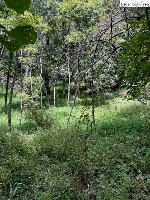 Tbd Black Rock Mountain Rd. Property Photo 6