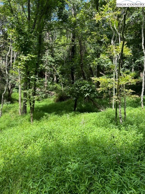 Tbd Black Rock Mountain Rd. Property Photo 7