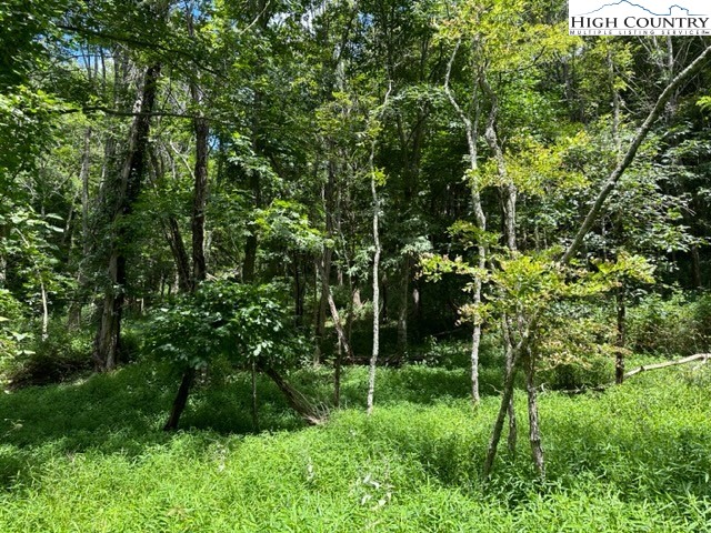 Tbd Black Rock Mountain Rd. Property Photo 8