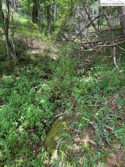 Tbd Black Rock Mountain Rd. Property Photo 9