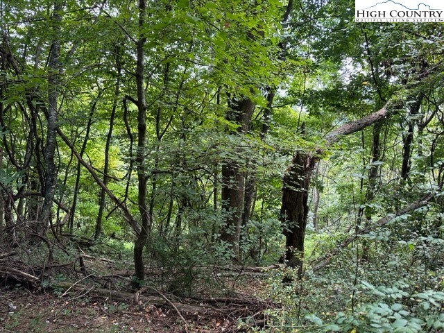 Tbd Black Rock Mountain Rd. Property Photo 10