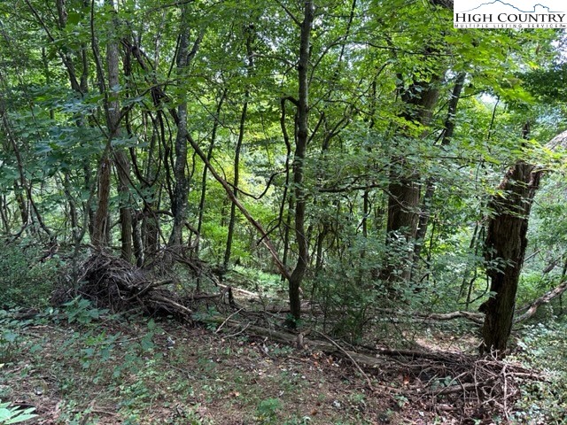 Tbd Black Rock Mountain Rd. Property Photo 11