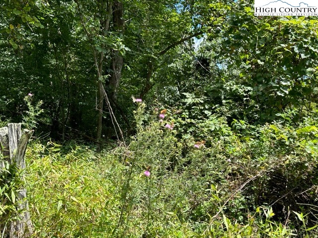 Tbd Black Rock Mountain Rd. Property Photo 18