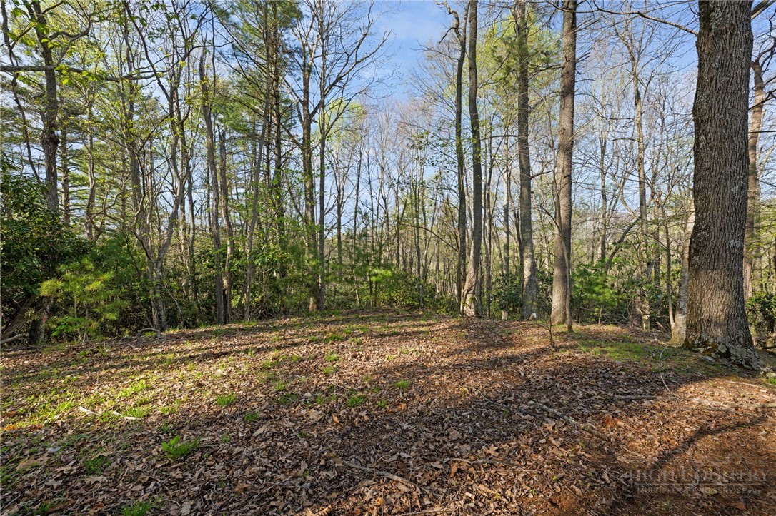 Tbd Man O War Drive Property Photo 1