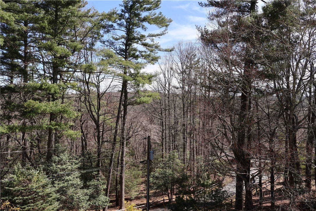488 Meadow View Road Property Photo 30