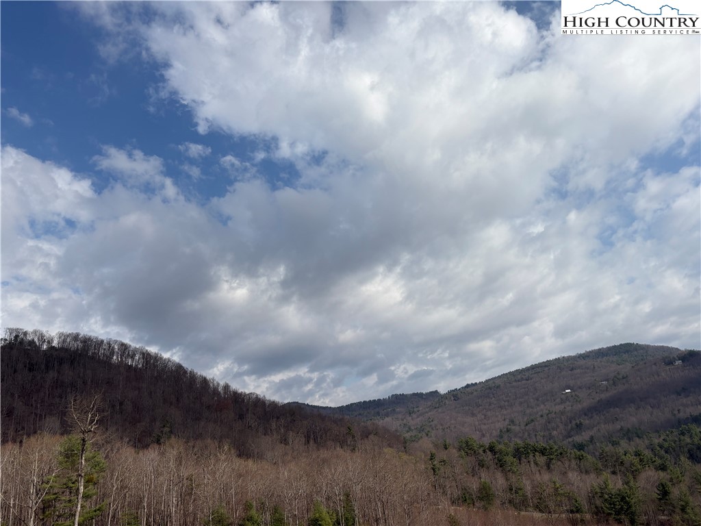 Tbd Wildcat Wilderness Parkway Property Photo 2