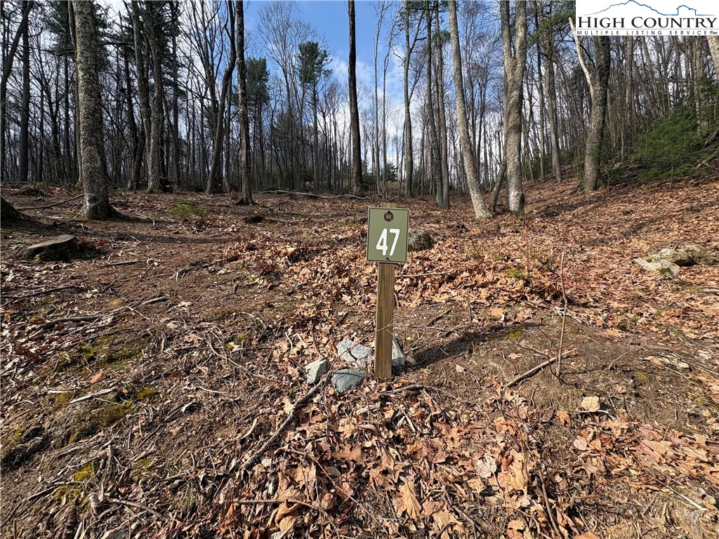 Tbd Wildcat Wilderness Parkway Property Photo 3