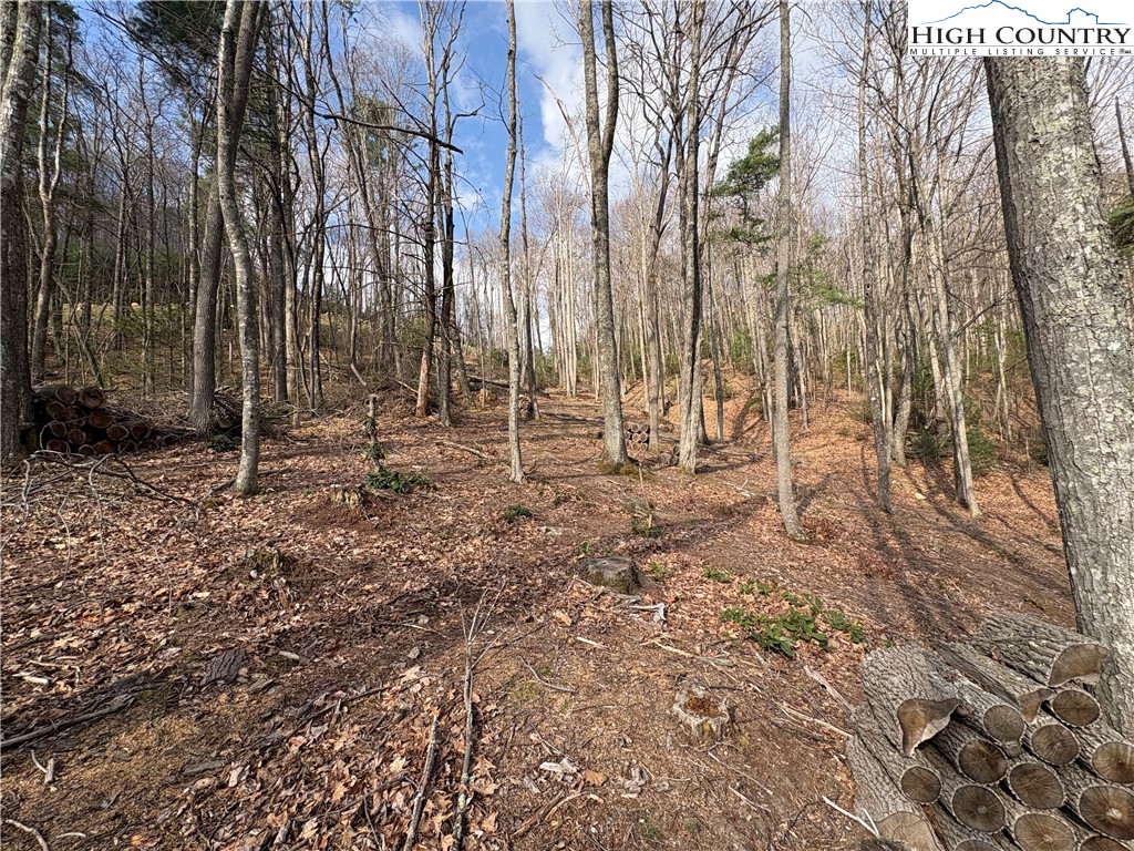 Tbd Wildcat Wilderness Parkway Property Photo 4