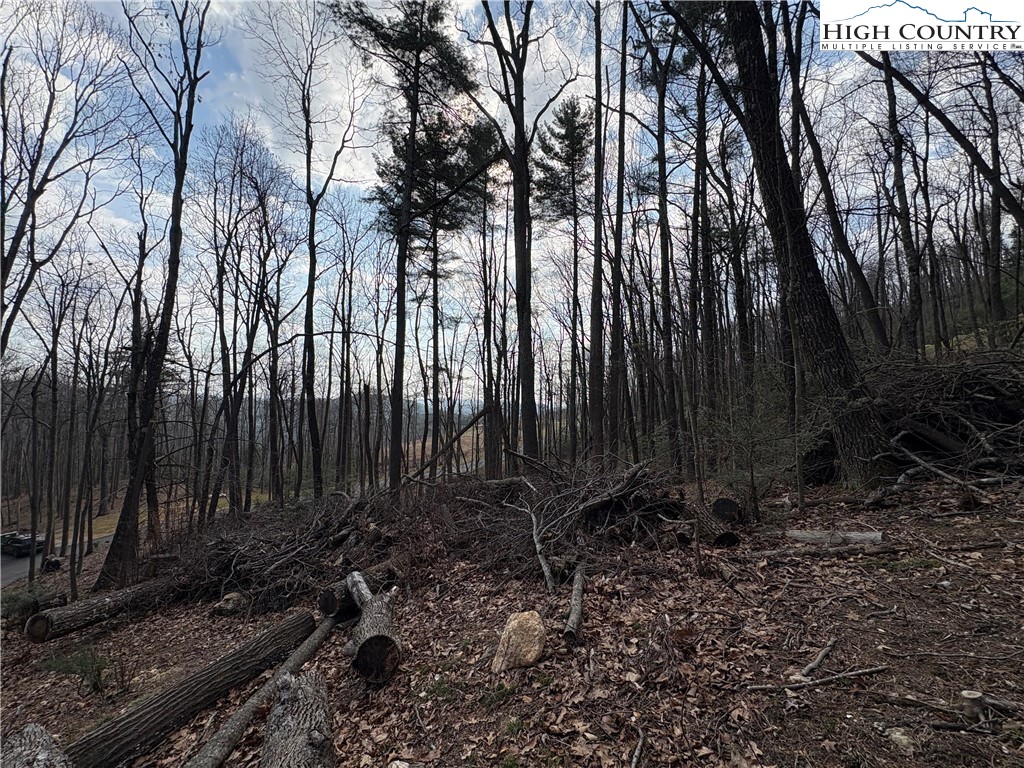Tbd Wildcat Wilderness Parkway Property Photo 5