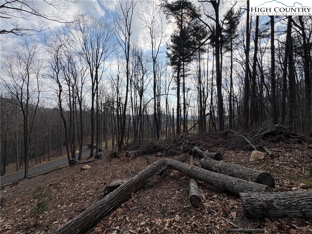 Tbd Wildcat Wilderness Parkway Property Photo 6