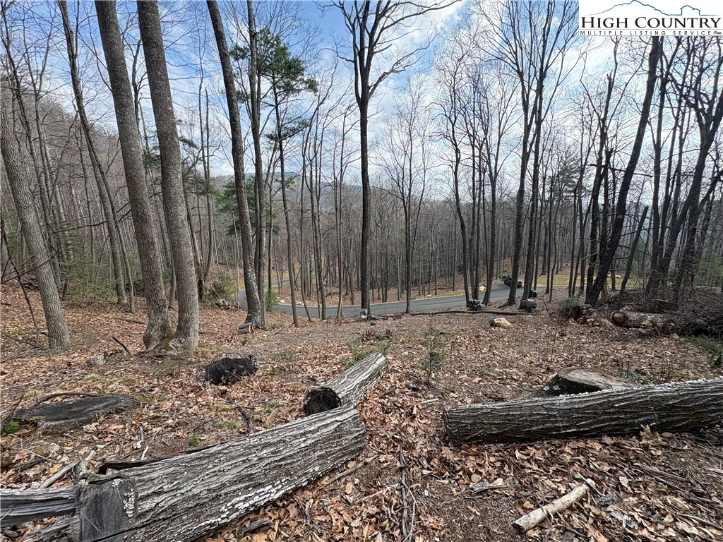 Tbd Wildcat Wilderness Parkway Property Photo 7