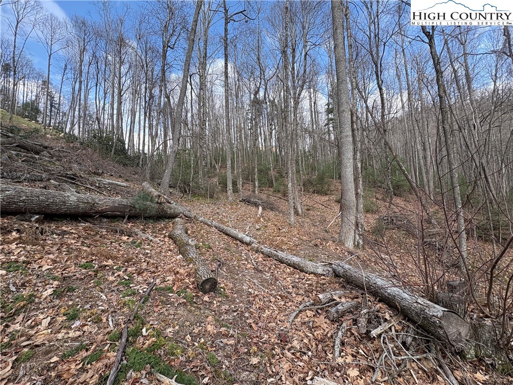 Tbd Wildcat Wilderness Parkway Property Photo 8