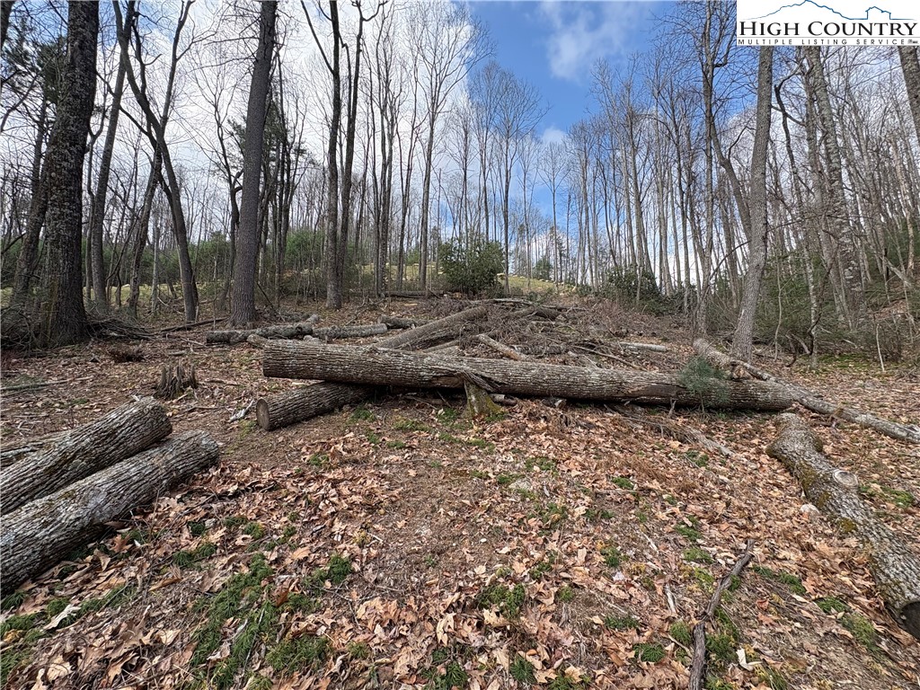Tbd Wildcat Wilderness Parkway Property Photo 9