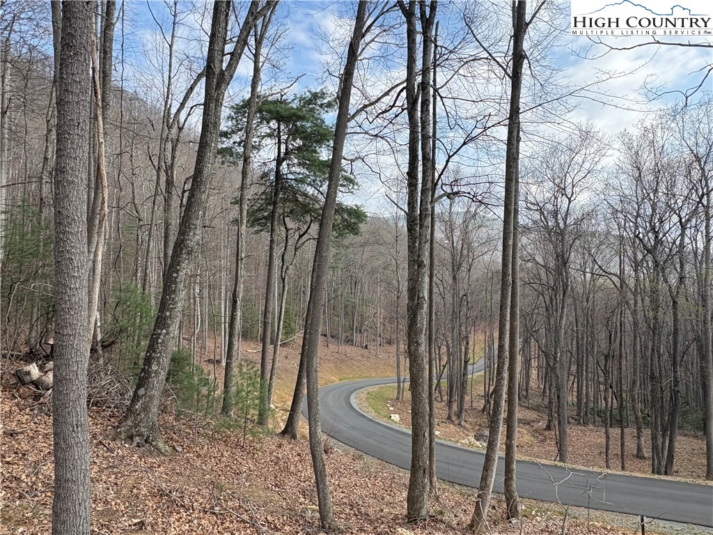 Tbd Wildcat Wilderness Parkway Property Photo 10