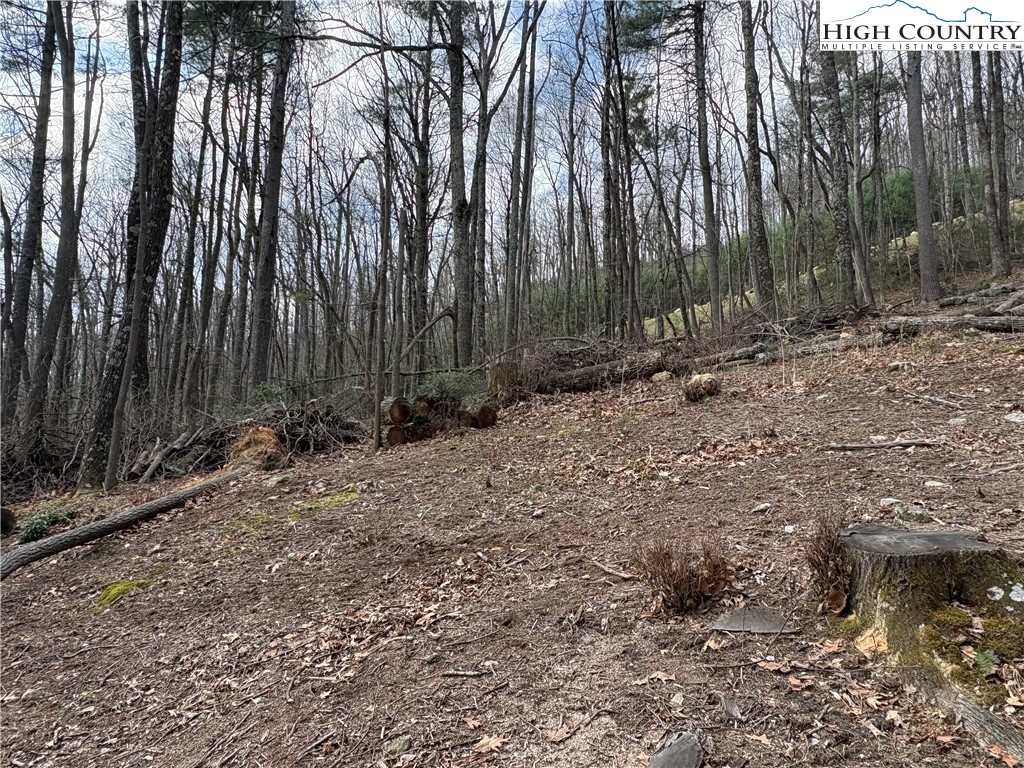 Tbd Wildcat Wilderness Parkway Property Photo 11