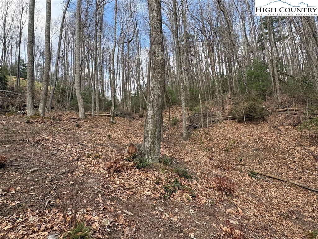 Tbd Wildcat Wilderness Parkway Property Photo 12