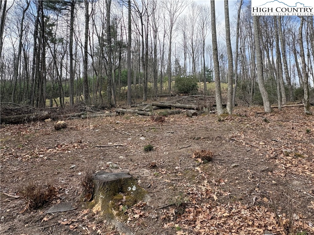 Tbd Wildcat Wilderness Parkway Property Photo 13
