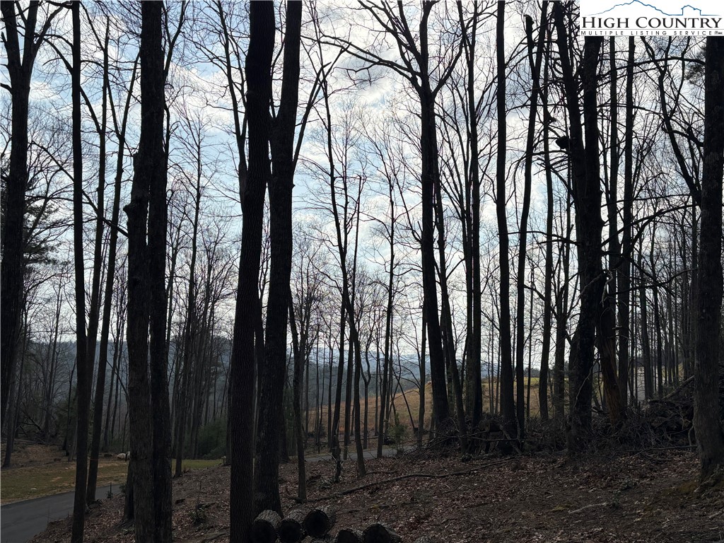 Tbd Wildcat Wilderness Parkway Property Photo 14