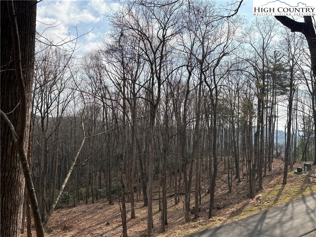 Tbd Wildcat Wilderness Parkway Property Photo 15