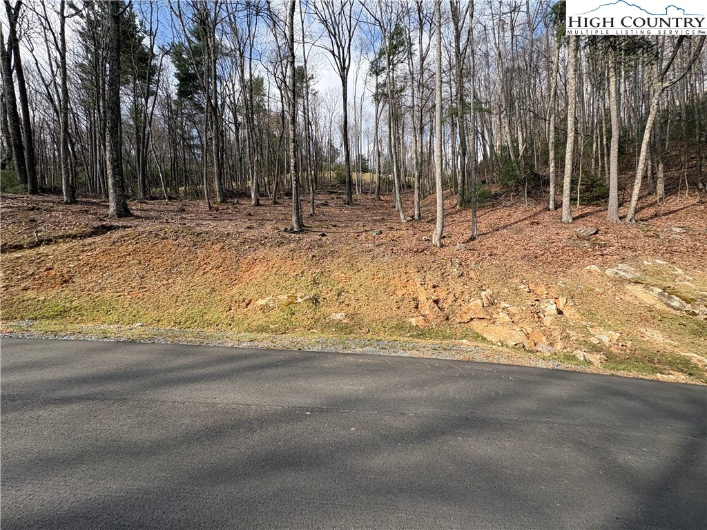 Tbd Wildcat Wilderness Parkway Property Photo 17